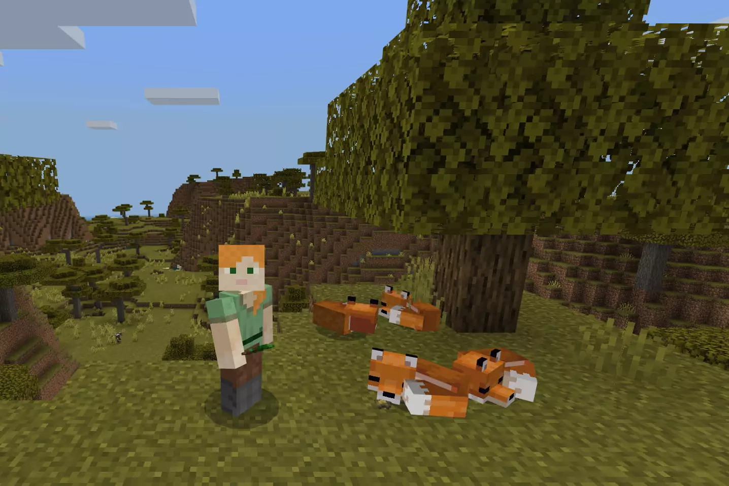 How to tame a Fox in Minecraft?