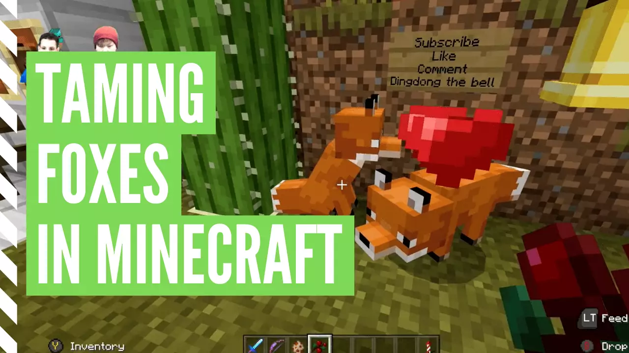 How to tame a Fox in Minecraft?