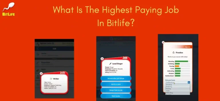 What Is The Highest Paying Job In Bit Llife?
