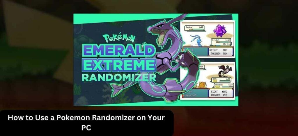 How to Use a Pokemon Randomizer on Your PC